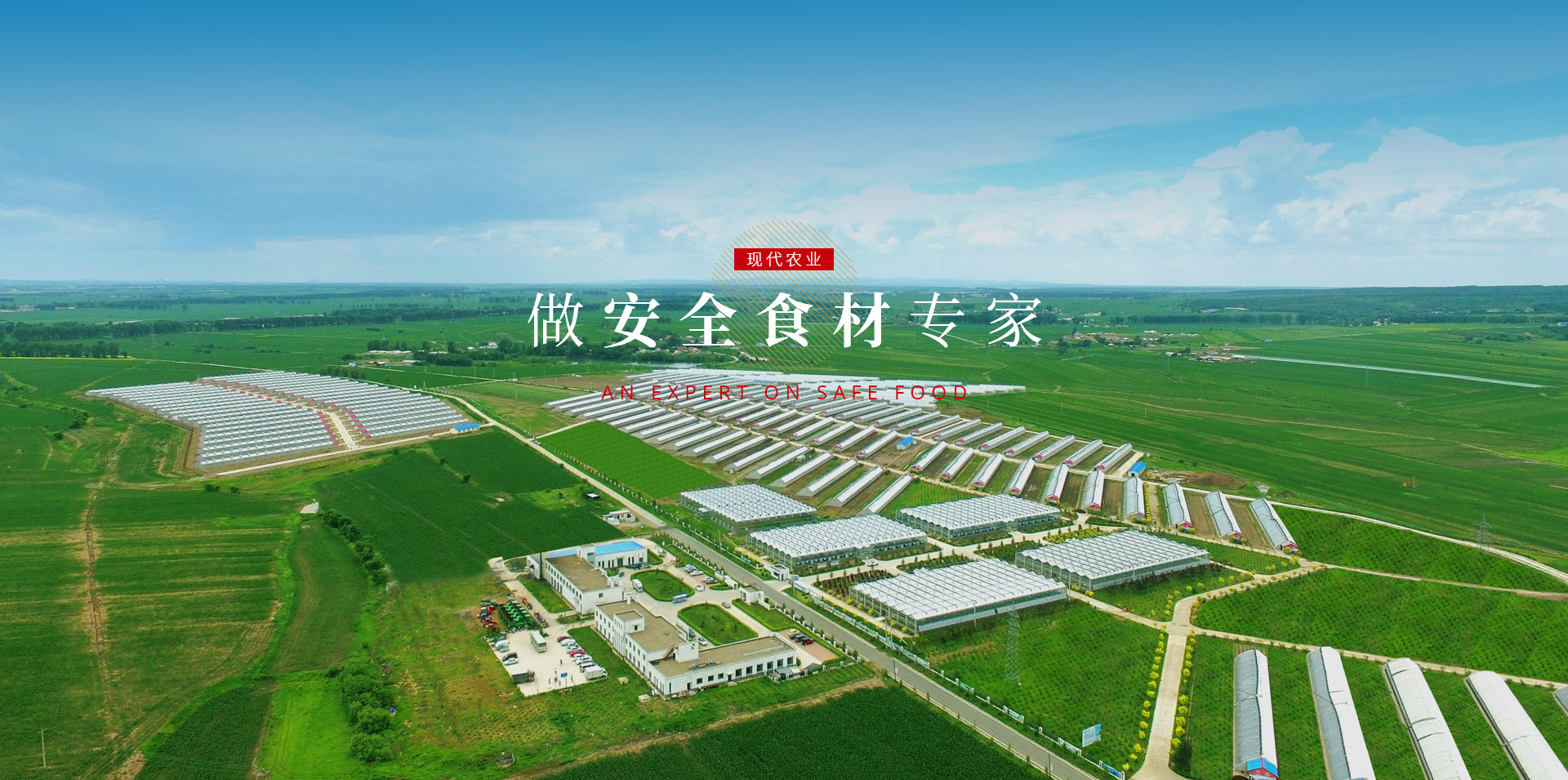 中国4688美高梅集团(股份)有限公司-官方网站