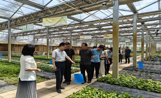 2024年6月27日，中国绿色食品发展中心相关领导莅临农业总公司考察调研_副本.jpg